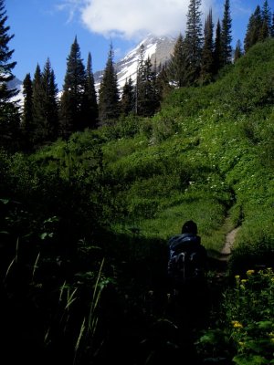 Gunsight Trail Backpacking Pictures