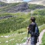 How to Use Hiking Poles