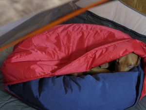 Camping and Backpacking Sleeping Bag Gear For Dogs | GNPTG