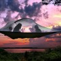 Rest in the Trees with Tentsile Tents and Hammocks