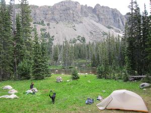 3 person backpacking tent