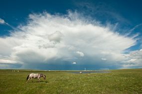 blackfeet indian reservation