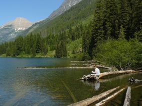 trout lake