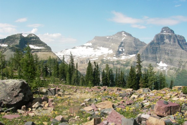 Boulder Pass Pit Toilet View