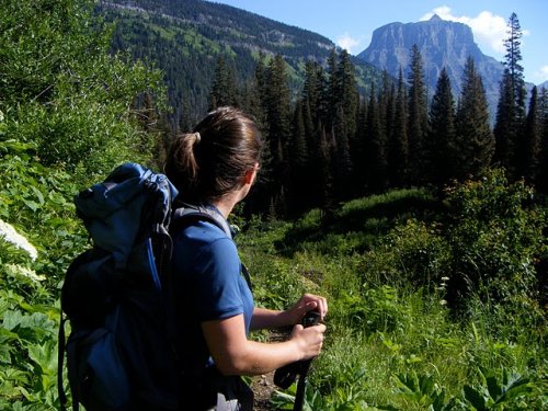 Gunsight Glacier National Park Pictures