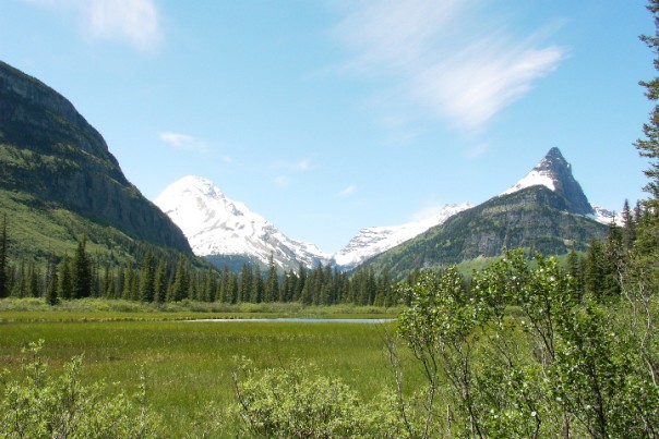 Gunsight Trail - Meadow and Mountain Photo