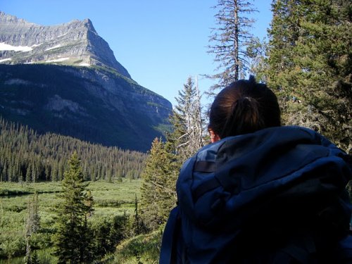 Gunsight Trail Meadows