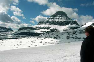 Logan Pass Montana Mountains