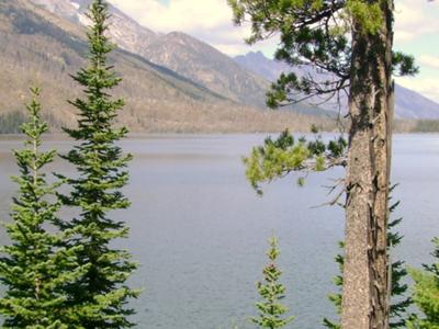 Jenny Lake-south of Yellowstone National Park