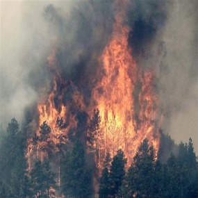 fires burning rocky mountain national park