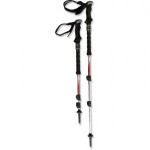 black diamond trail shock trekking poles