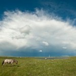 blackfeet indian reservation