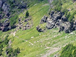 hiking hidden lakes trail beauty beyond words glacier national park 21523775