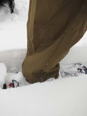 snowshoeing in crester pants