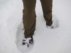 snowshoeing in crester pants2