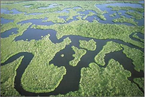 Everglades National Park