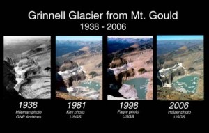 Glaciers and Climate Change