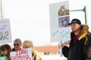 Wolf Trapping Protests by Shawn Gust/CDA Press 