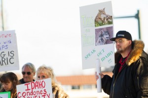 Wolf Trapping Protests by Shawn Gust/CDA Press