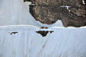 Plowing the Going-to-the-Sun Road