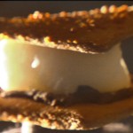 S'Mores from DreamDreamDream