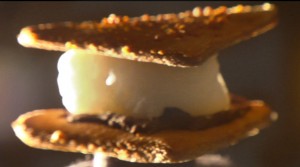 S'Mores from DreamDreamDream