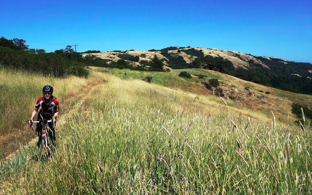 cycling stevens canyon