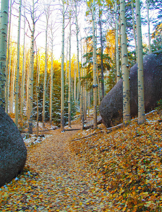 Devils-Head-Fire-Tower-Hike