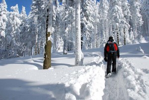 Best Winter Hiking boots