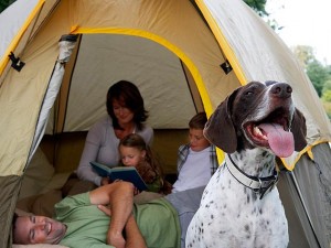 Dog Camping Gear