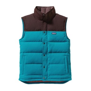 Patagonia Down Vest