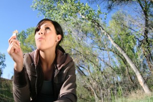 Best Outdoor Energy Bars